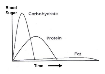carbs-fats-protein.jpeg.3e10b10eebb5196d0dc9aa5d9b21d040.jpeg