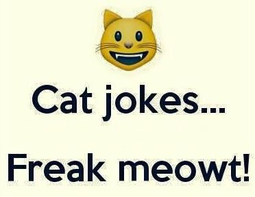 cat.jpg.915cdc6cd33fb6b70b0a07d4bcff3c9d.jpg