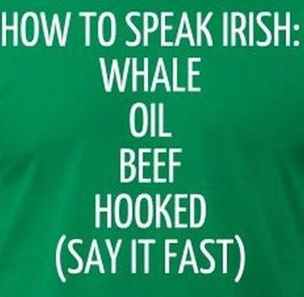 irish.jpg.856c591f77099cfcfadf15fc5af8af13.jpg