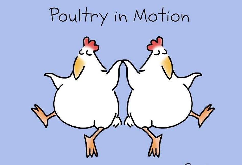 poultry.jpg.66f76ef9c78c39b260be1d077ac7162c.jpg