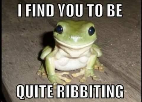 ribbington.jpg.ee8f1db4ddf5f4ff4f2c441798302980.jpg