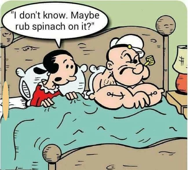 spinache.jpg.766585484bbb86ae6c48ec46d121c9d2.jpg