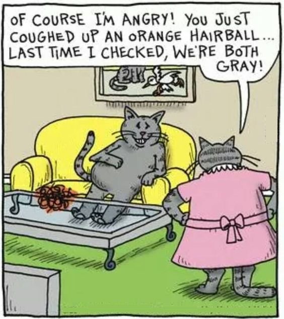 1246012492_anrycat.jpg.53733c24b217354807b7868102b50e9a.jpg