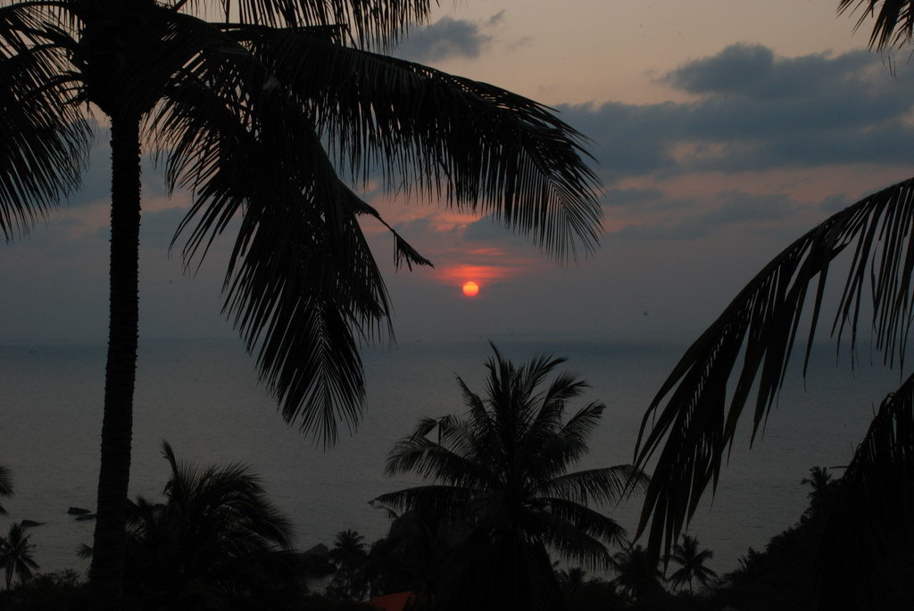 129052541_SUNSETTURTLEIS.jpg.0e9877489f3fef16a45a7d4a47d180a3.jpg