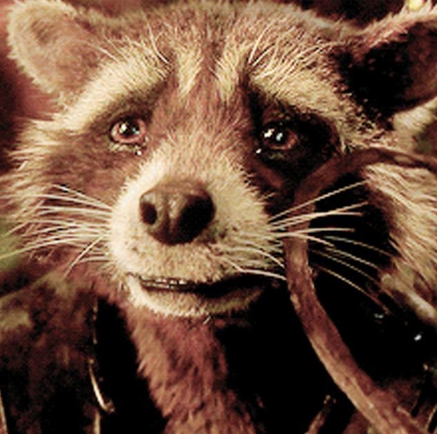 1529078412-rocket-racoon-guardians-of-the-galaxy.jpg