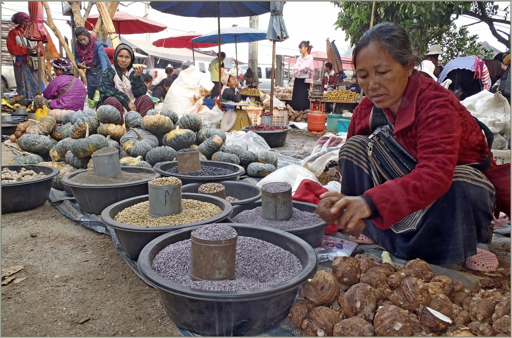 1755006319_P2280317_Chiang_Dao(Copy).thumb.JPG.13e2359ac0565f17b183cf0d44be67ac.JPG