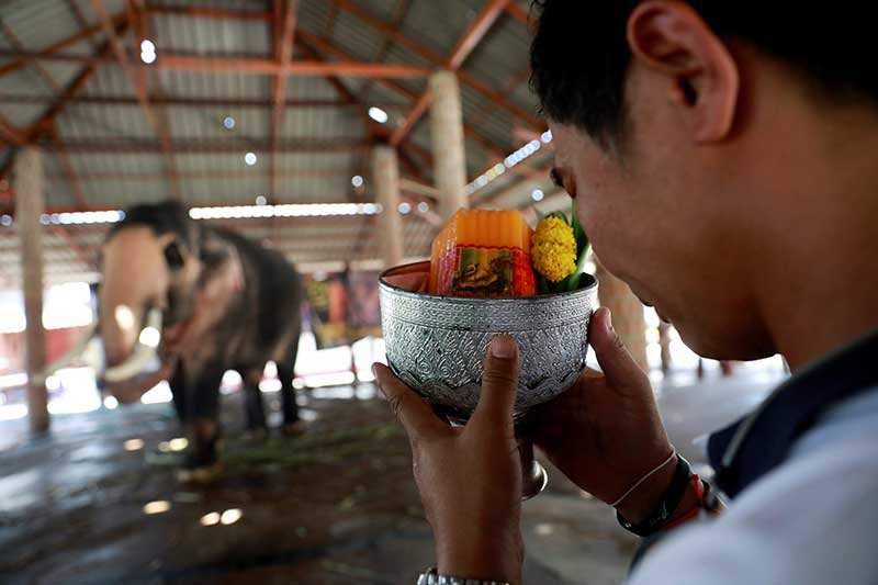 2019-05-01T013058Z_1_LYNXNPEF4025O_RTROPTP_4_THAILAND-KING-CORONATION-ELEPHANT.JPG