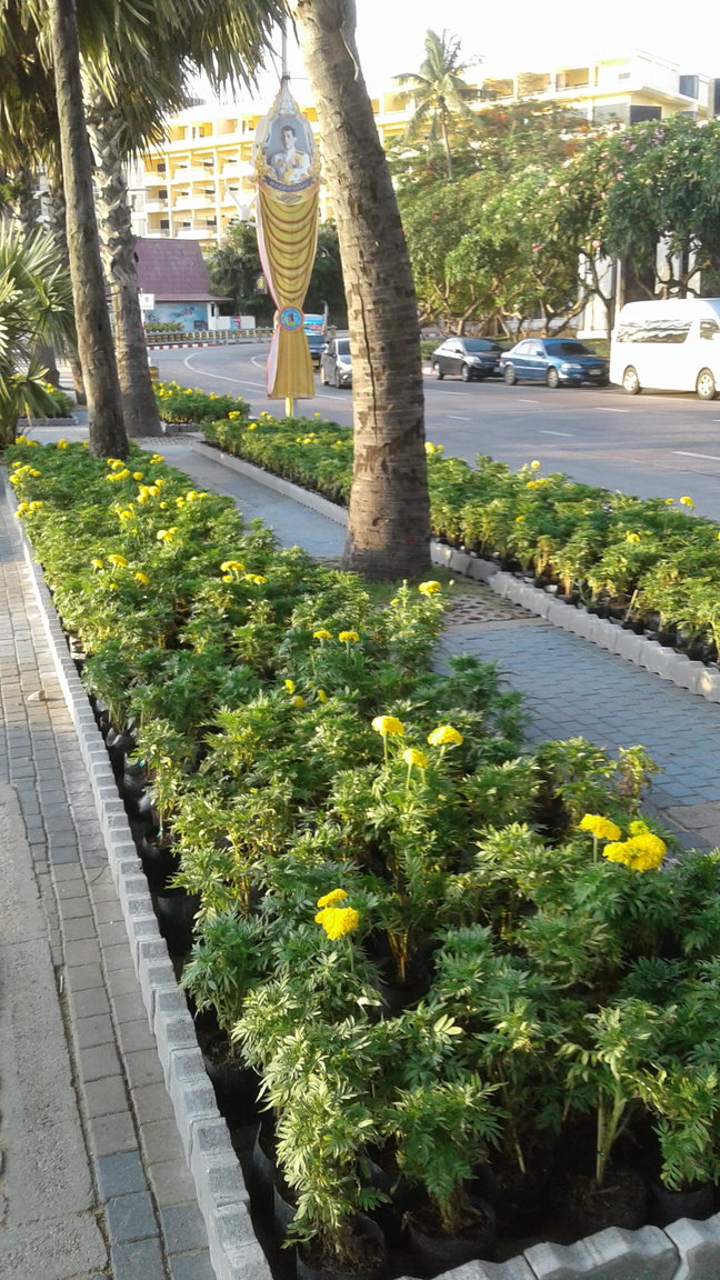 20190505_175217.jpg