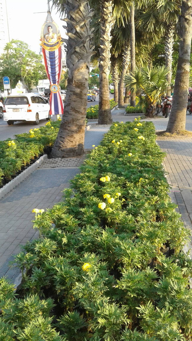 20190505_175414.jpg