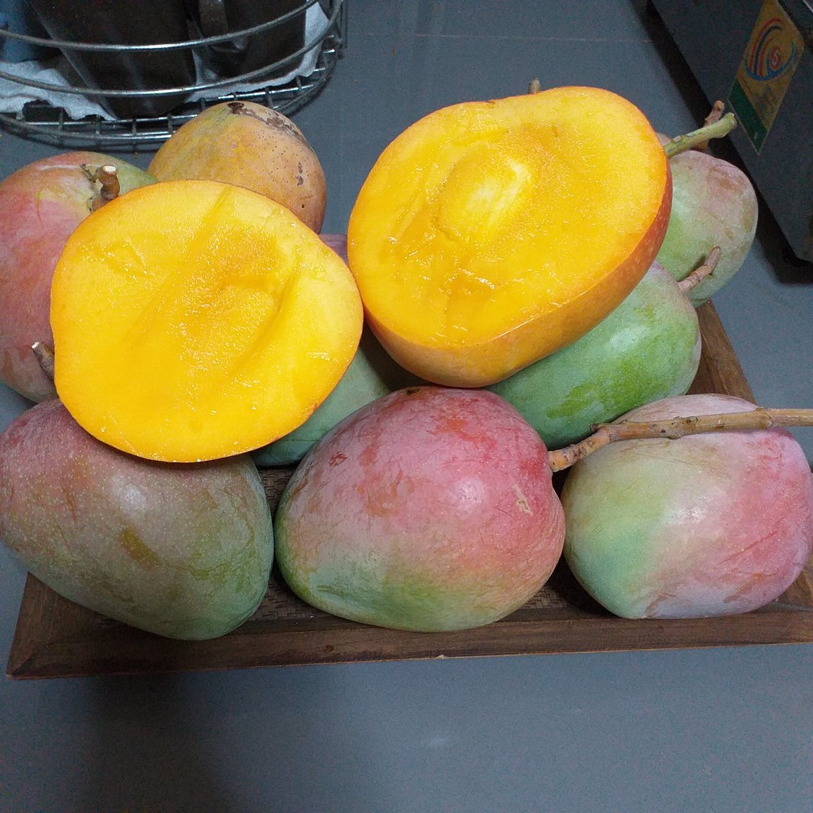 20190522_161947.jpg