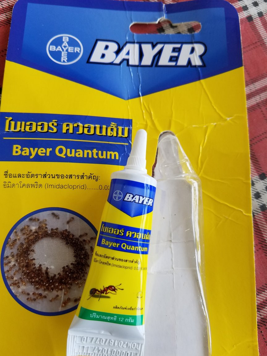 20190528_161512.jpg