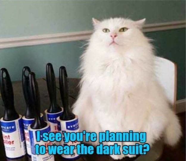 208308755_darksuit.jpg.c21e8d97646e578884e2ff47651ce0df.jpg