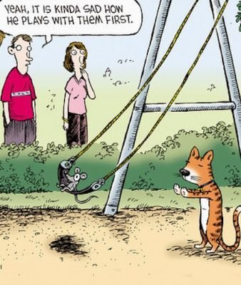 2096632908_catswing.jpg.836a87e846779b18bf9ee87a0e114dc0.jpg