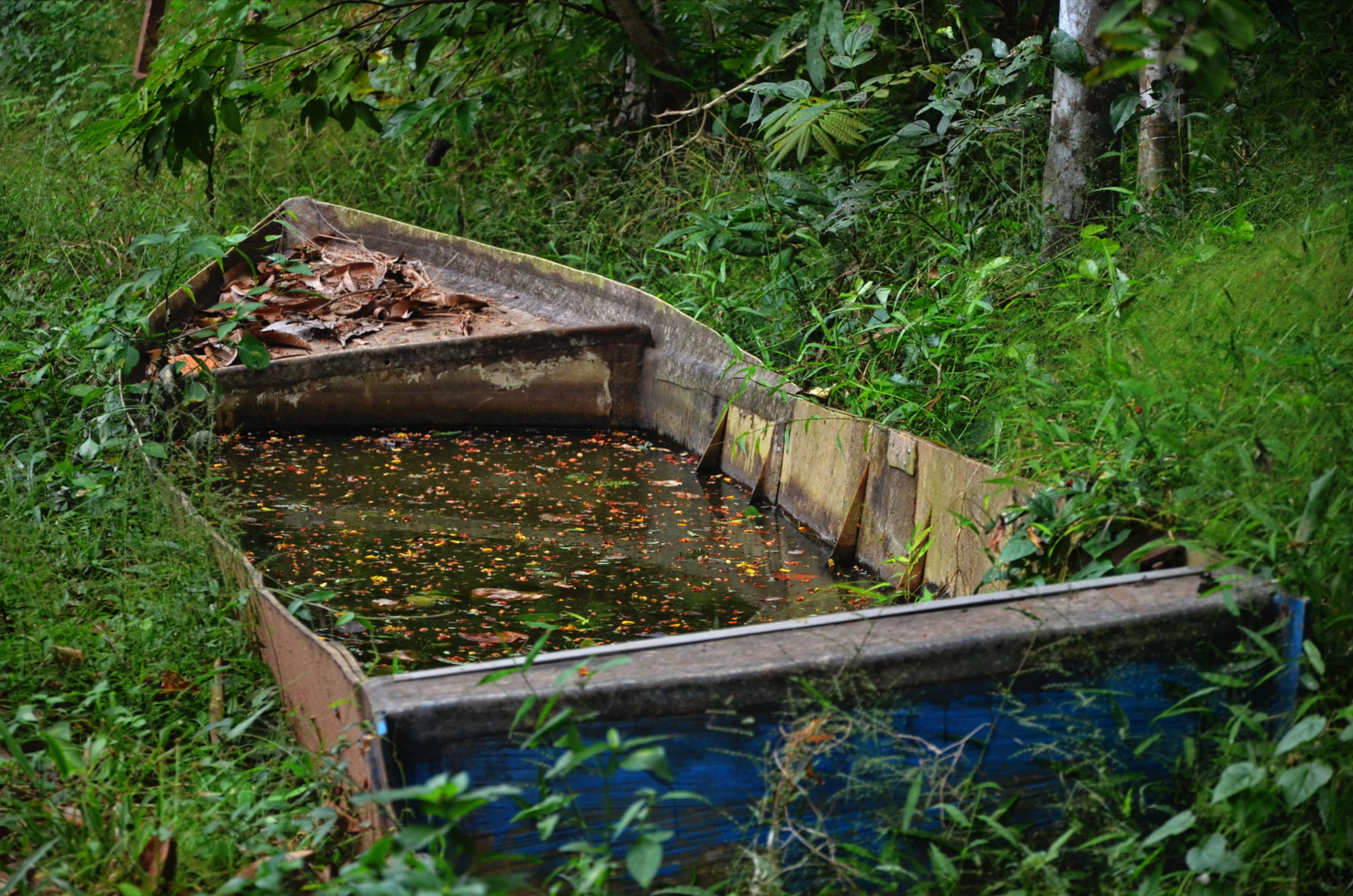 sunken boat.JPG