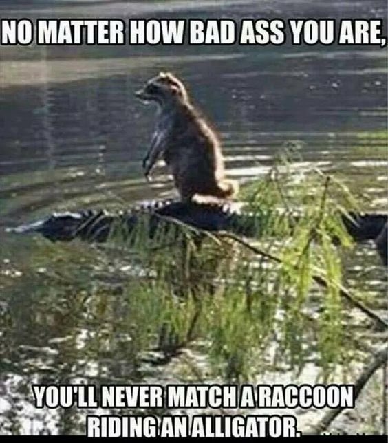 472eec063c62c2bc872bbf4be0592a38.jpg.8397d06f6190435a4aa89ef22925a803.jpg