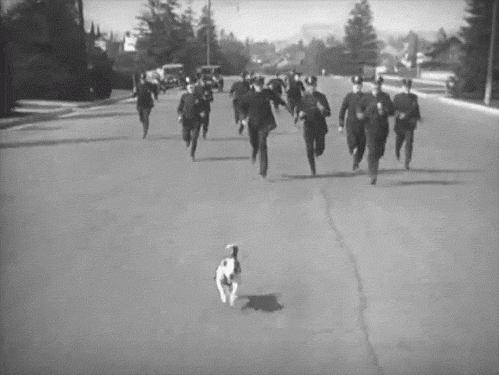 637861240_Keystonecops.gif.ff8dee6dd3dee96a0af70b8edb88f33f.gif
