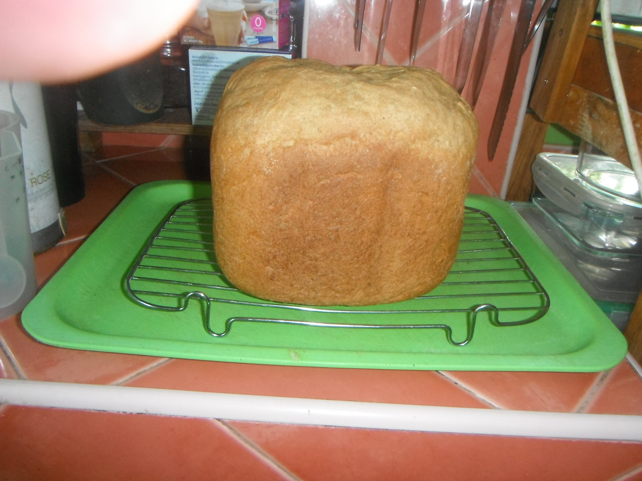 DSCF1277.JPG