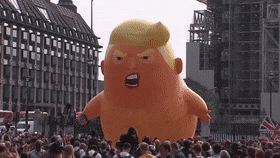 NewIdioticChimpanzee-max-1mb.gif.f1c00aeec1df123ac1d148eee3a6f6f8.gif