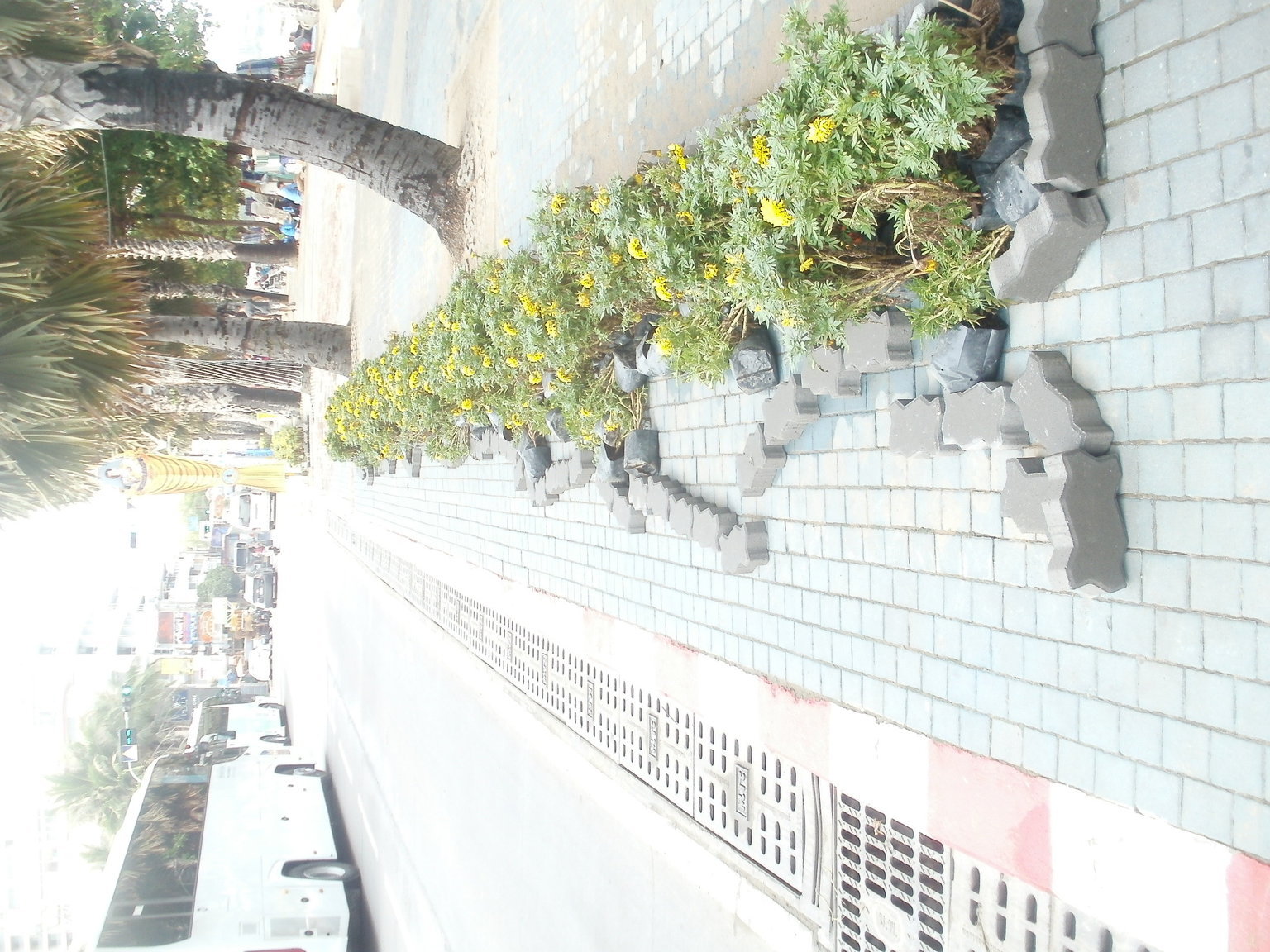 P1010238.JPG
