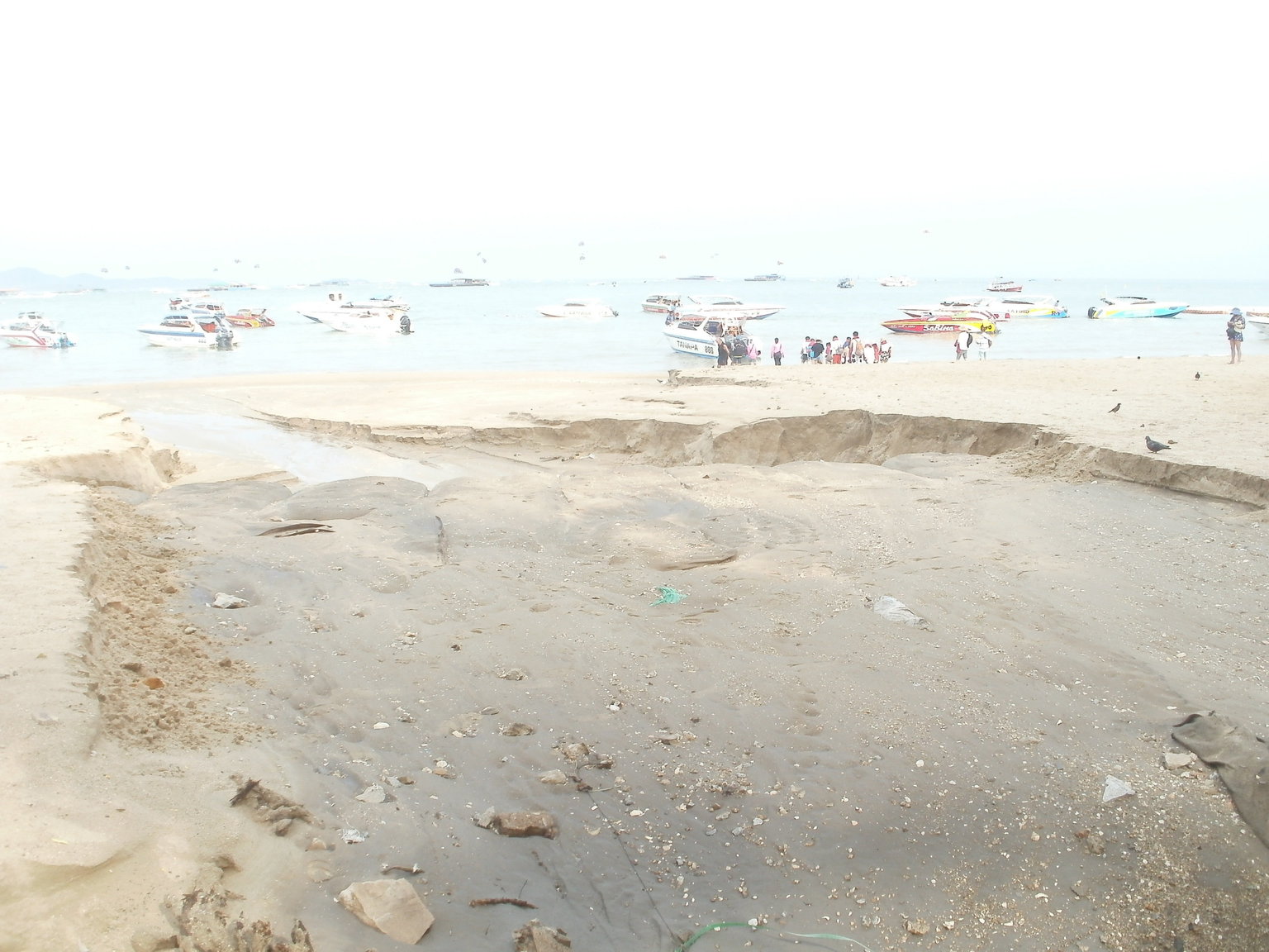 P1010240.JPG