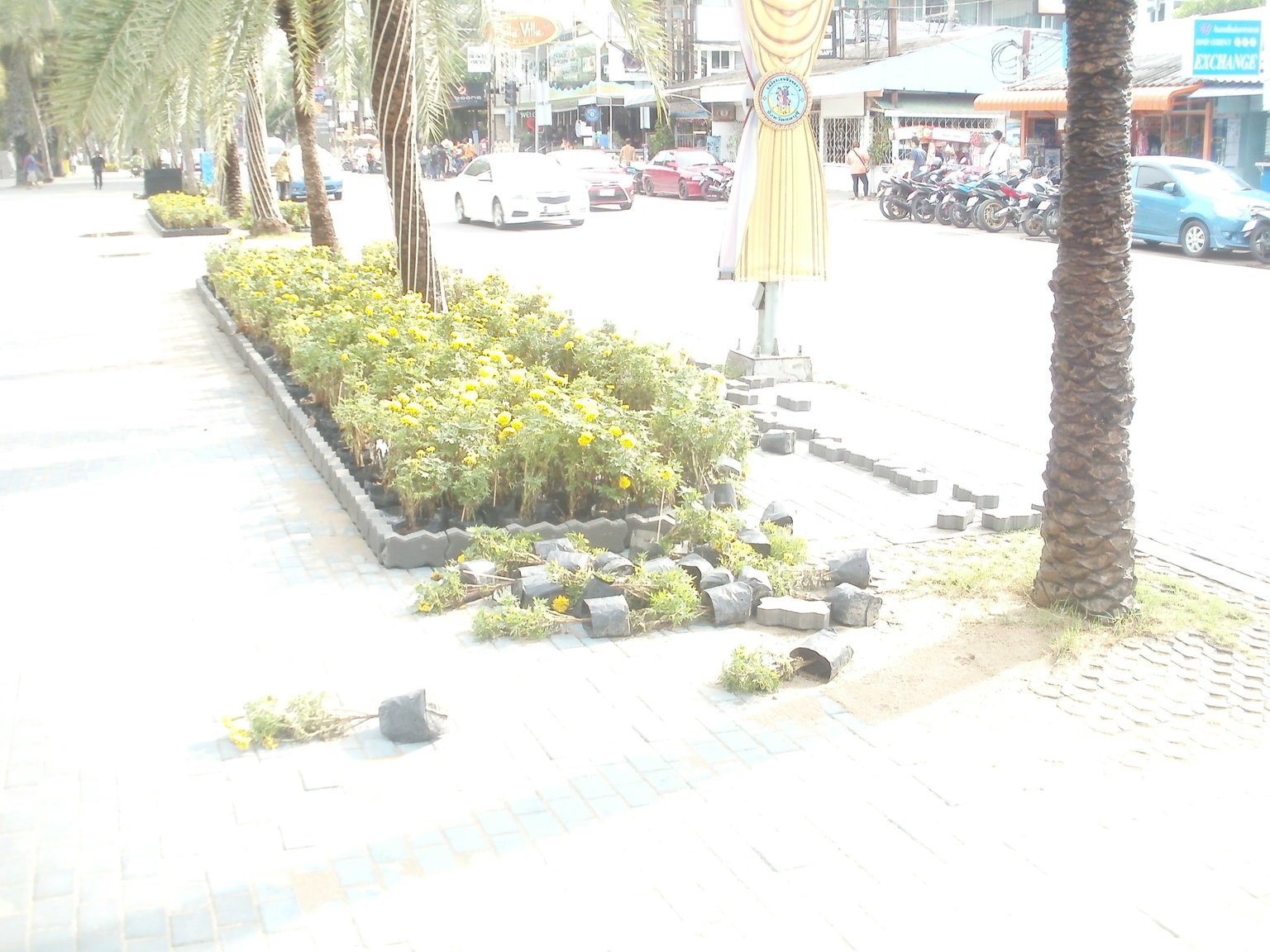 P1010242.JPG
