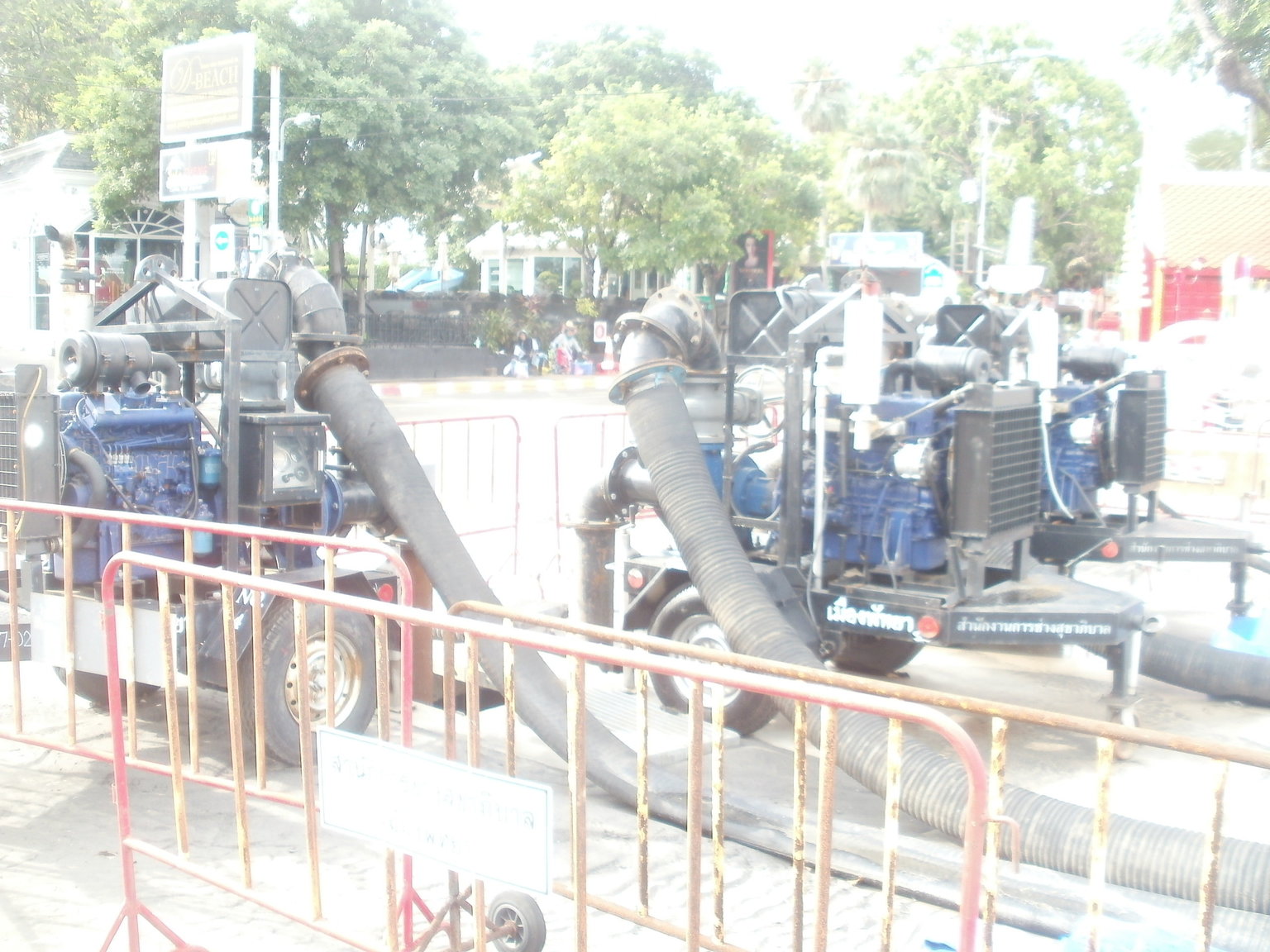 P1010245.JPG