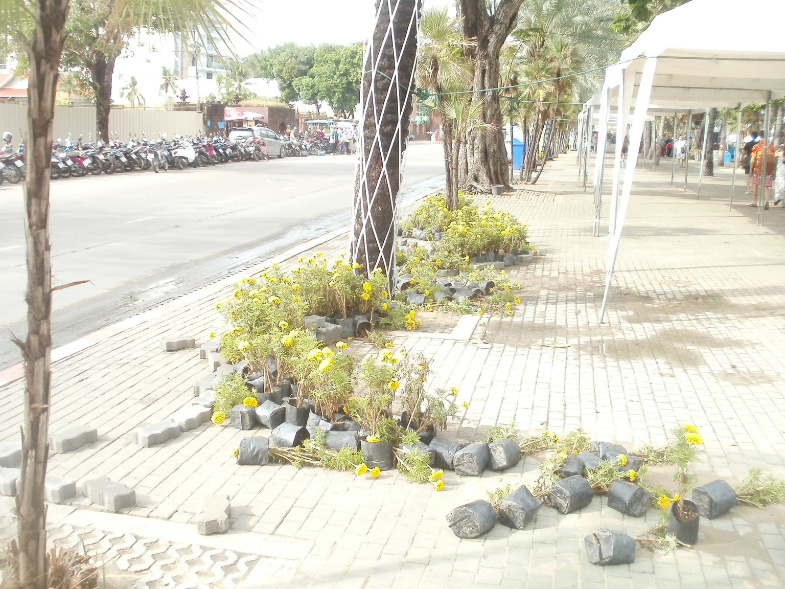 P1010247.JPG