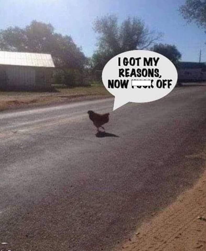 chicken.jpg.6da06764d87c3b815935a3d38a01d7c7.jpg