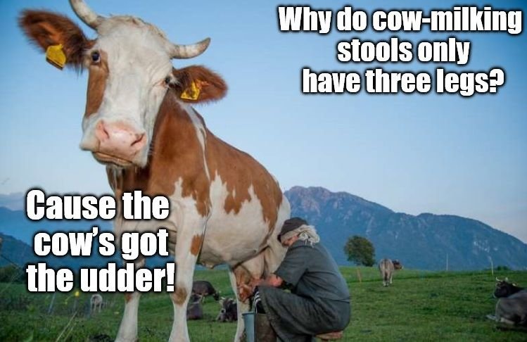 cow.jpg.4f49fd5a1483f53f0308d350aa29e206.jpg