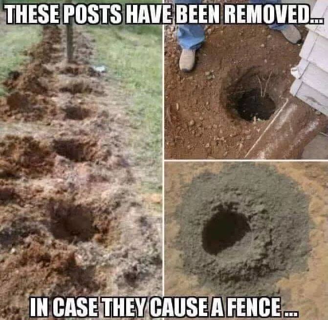 fence.jpg.444f0ce4cbcff9db149035b4267a5b87.jpg