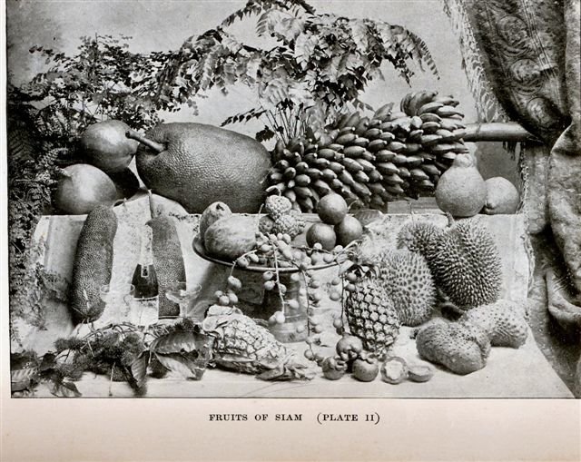 fruits-of-siam-thailand.jpg.8513665f61e0090cc4808745d7b4fc43.jpg