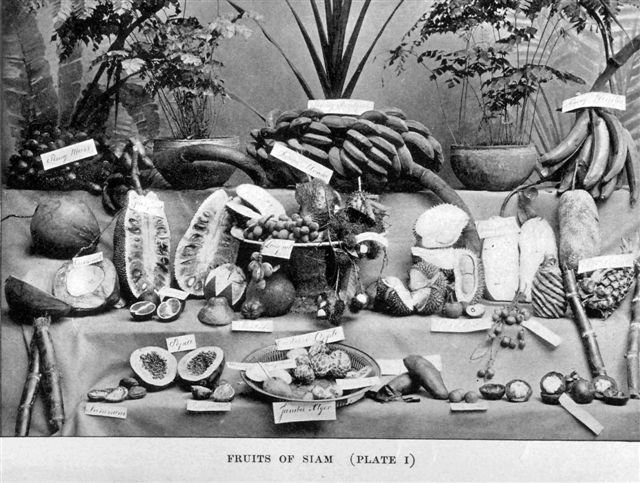 fruits-of-siam.jpg.ab03742f7e6c538fd84e6a35387b2cf4.jpg