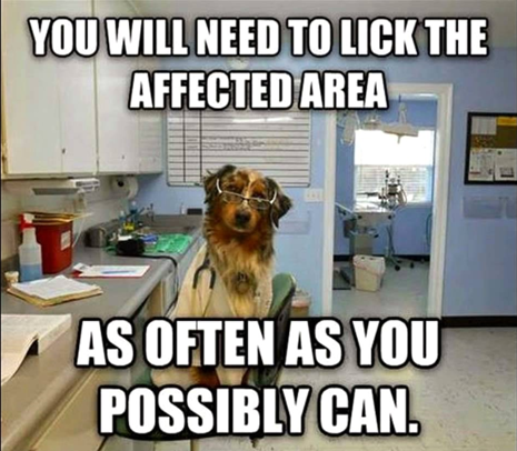 image.png.313e9298cf3a1f6fd20a5b1dd4ebca3d.png