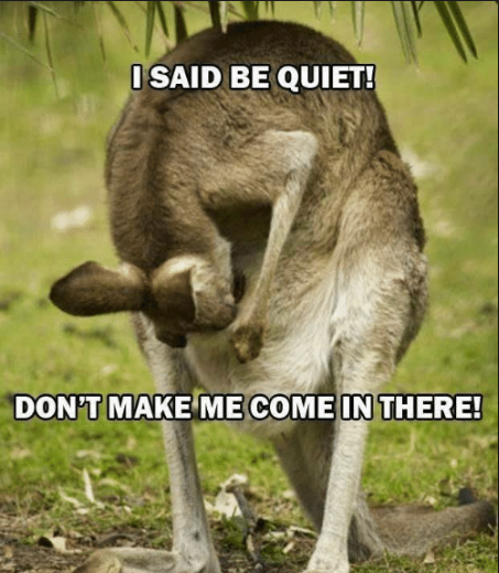 image.png.5513d324a24813100b4862aa14588a1c.png