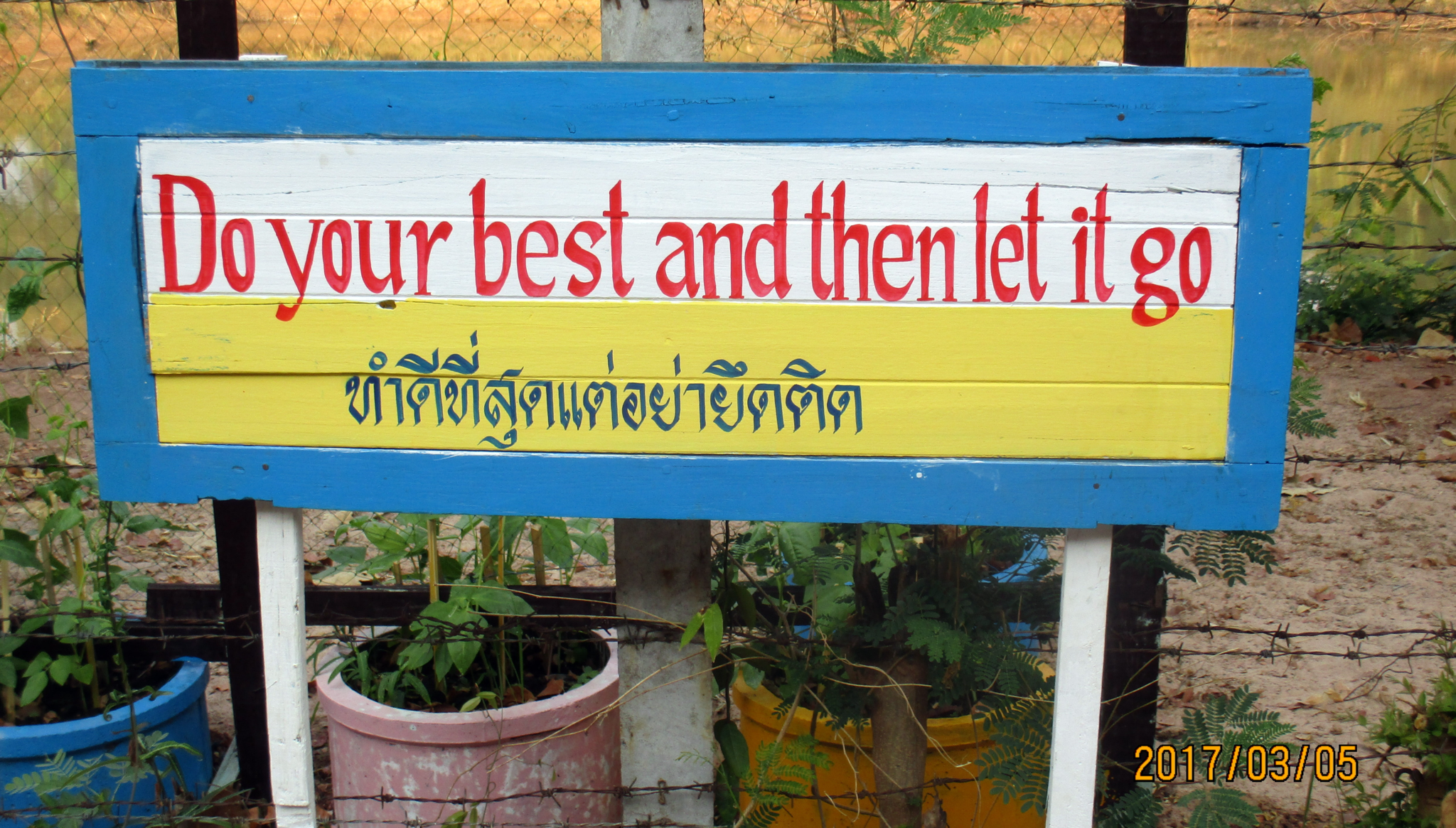 image.thumb.png.7b2ad249140e400ee8ee432925b2c8d0.png