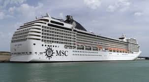 msc.jpg