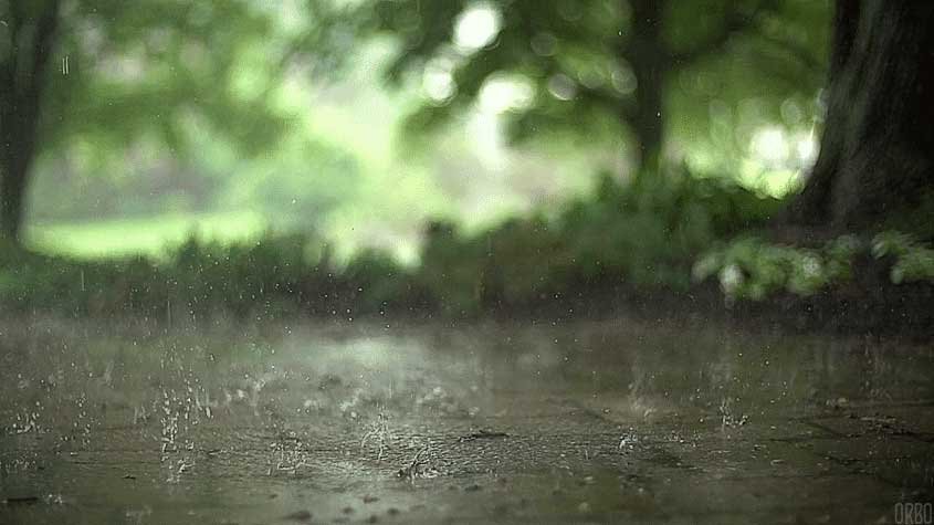 rain.jpg