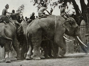 riding-rama-elephants.jpg.e07948d2ac52a317ec34d0169457c37f.jpg