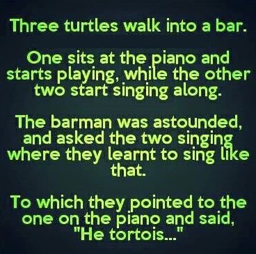 turtles.jpg.b6fa23529d18d3856b05655ca8d8f1a7.jpg