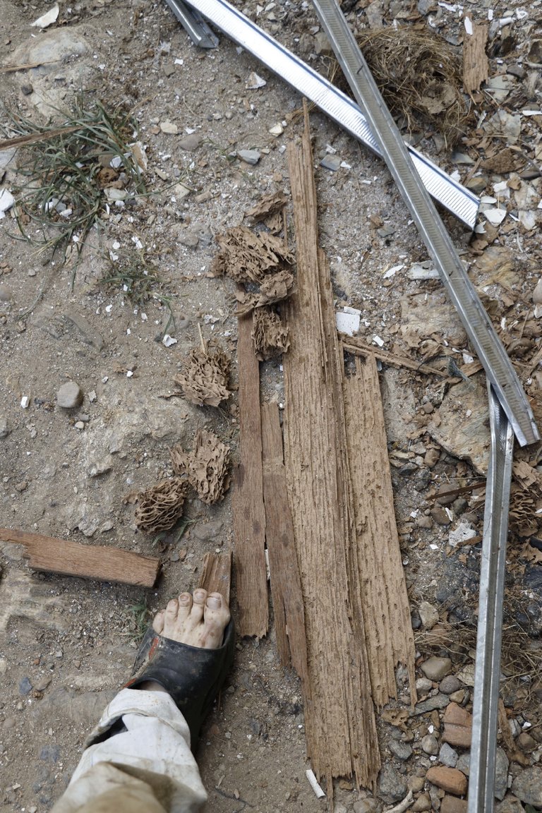 Old Beam.jpg