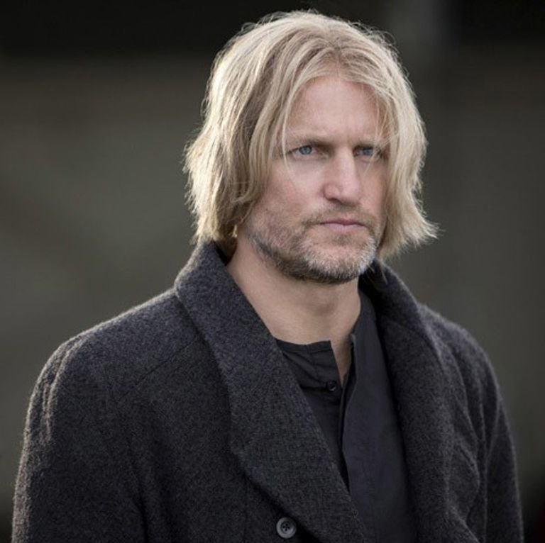 1447946493-movies-hunger-games-haymitc-2.jpg
