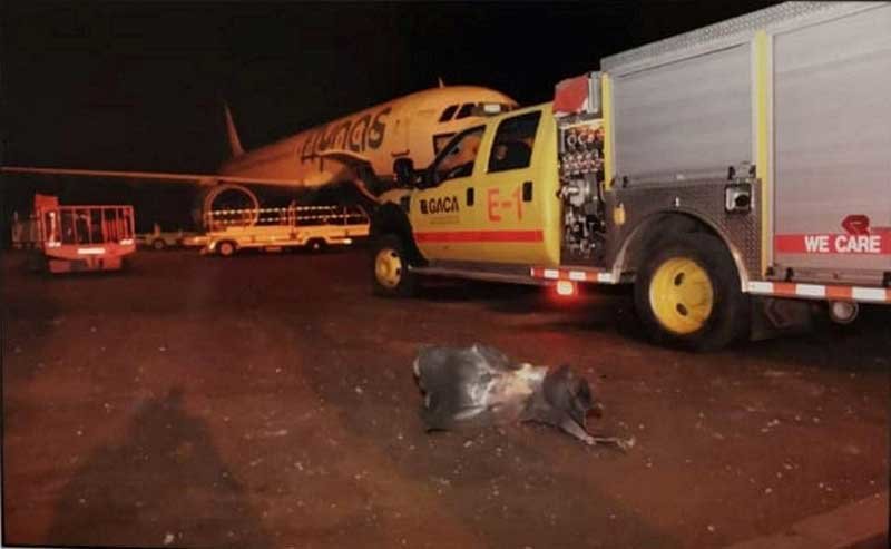 2019-06-12T233828Z_1_LYNXNPEF5B2BZ_RTROPTP_4_YEMEN-SECURITY-SAUDI-AIRPORT.JPG