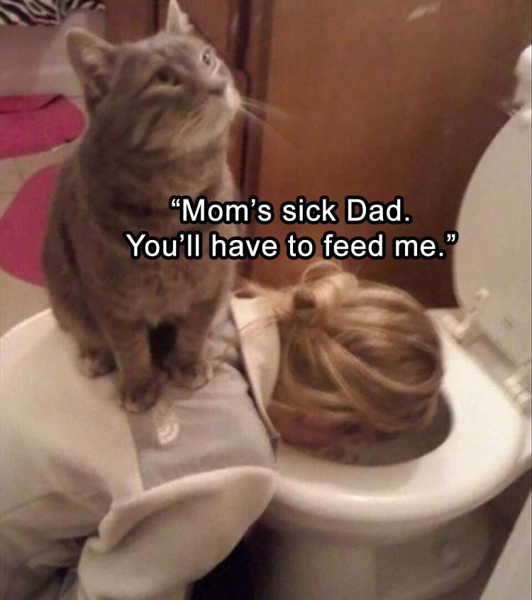 307113995_catsickmum.jpg.456ab6ccf9978f8882d42b03f50dc35c.jpg