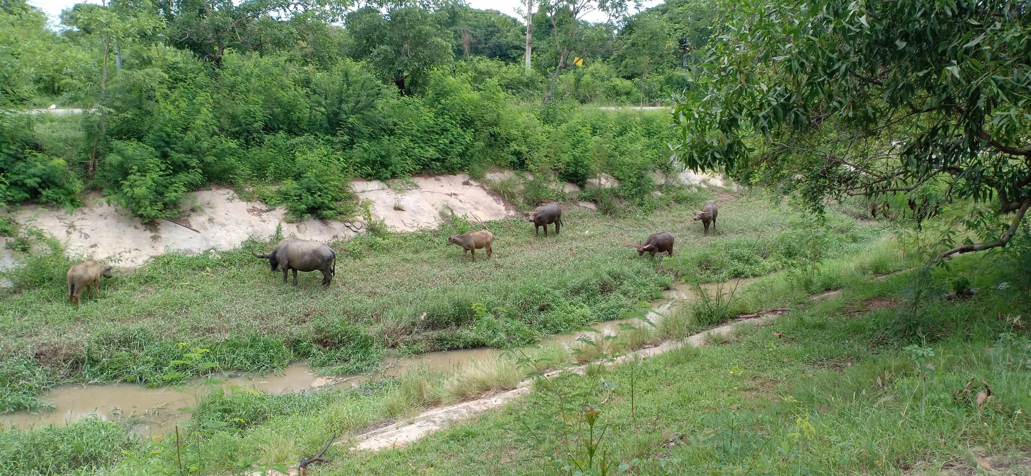 2019-06-11 12.21.13-2.jpg