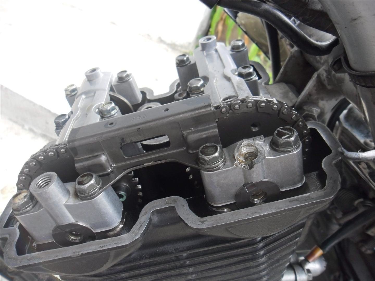 559968177_camchaincover.JPG.4953971e19e64e5c47609d4643d130ef.JPG