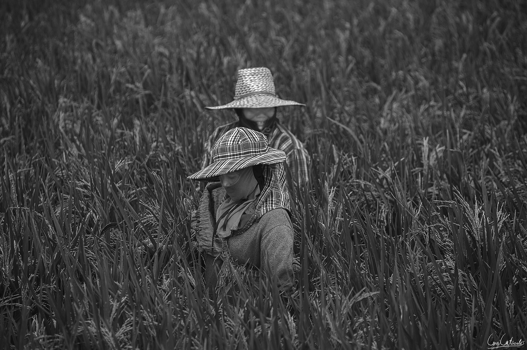 DSC_7522bw.thumb.jpg.658f025383ed8cb1a00b58076fa2487f.jpg
