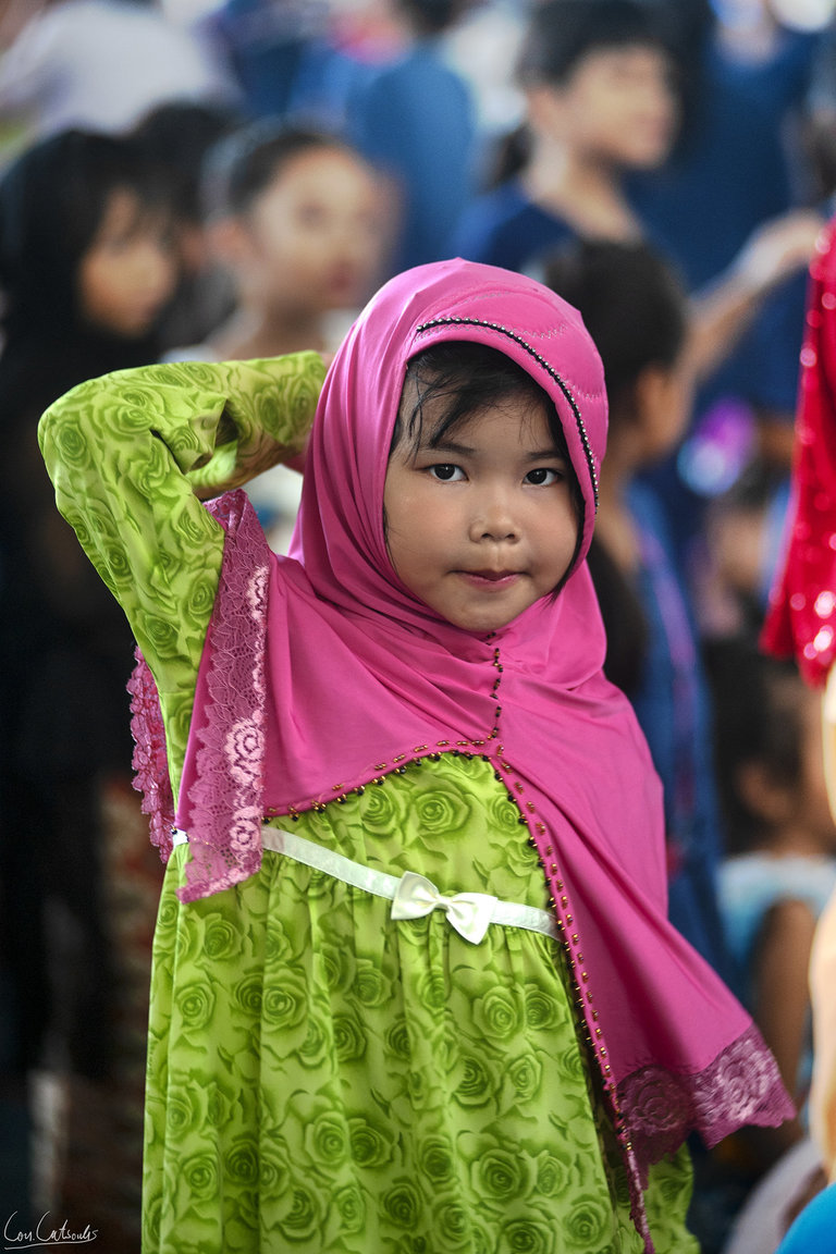 DSC_8174.thumb.jpg.0be47ab9380425c348b460cb52ed48d1.jpg