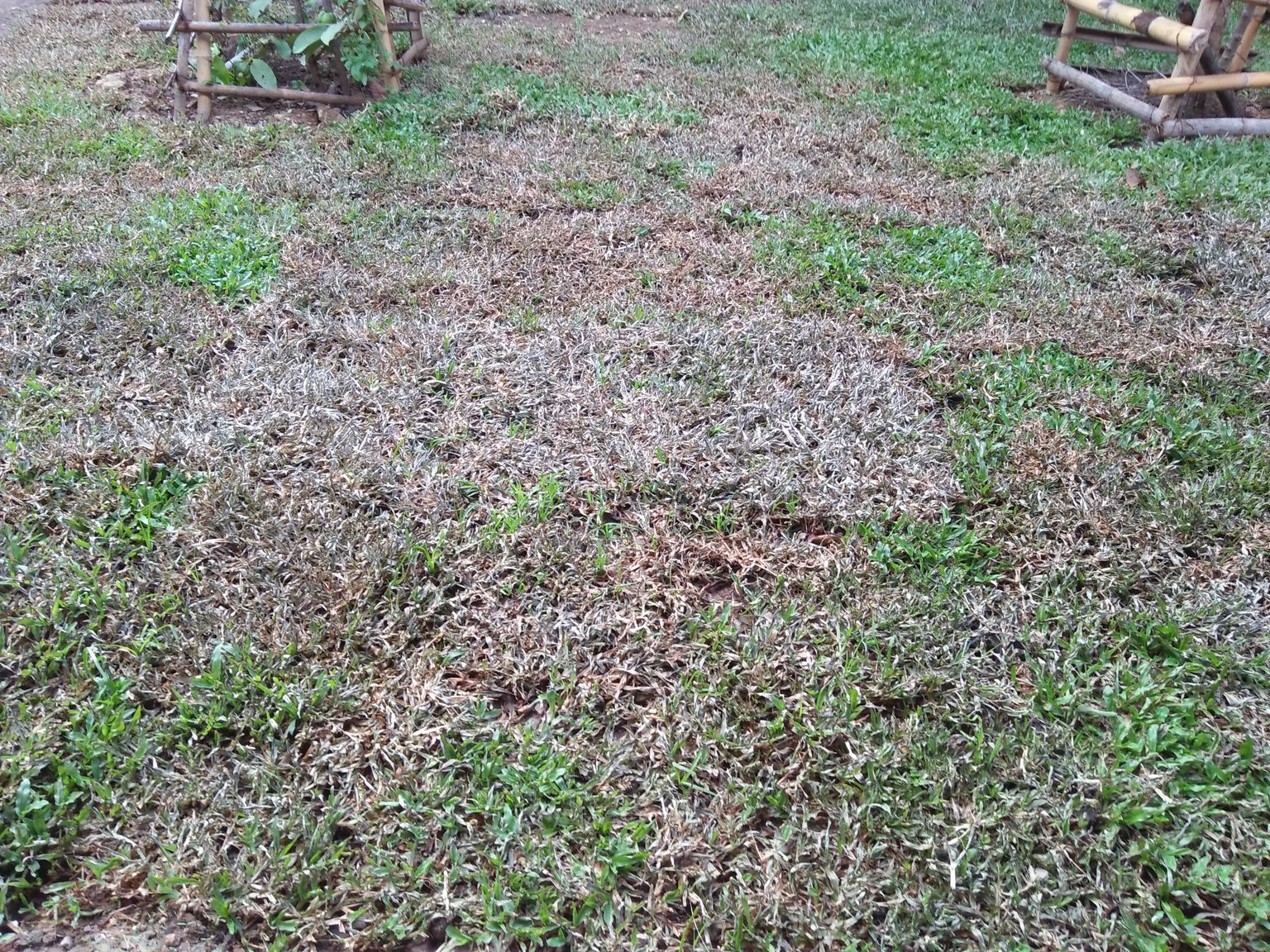 IMG20190606172914.thumb.jpg.ccd80c428adeb39699eb31ed10fc30a7.jpg