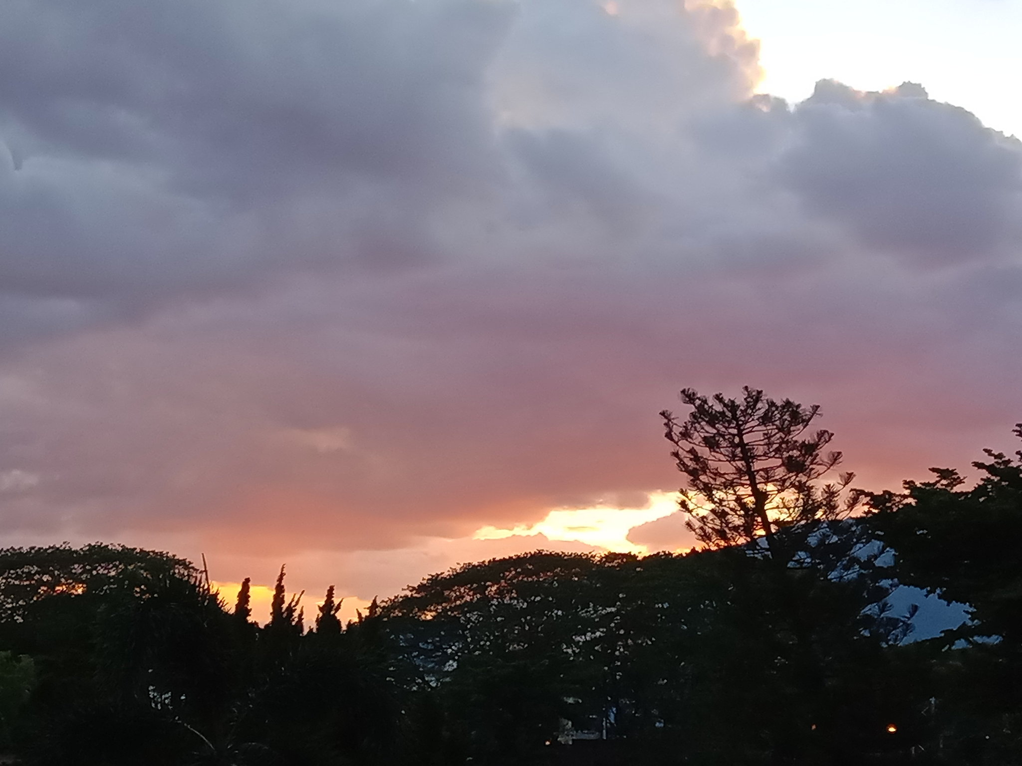 IMG_20190604_185410.jpg