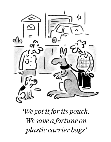 TelegraphCartoon02.png.fbd7458f9ee0493b309bcd3da0418f01.png